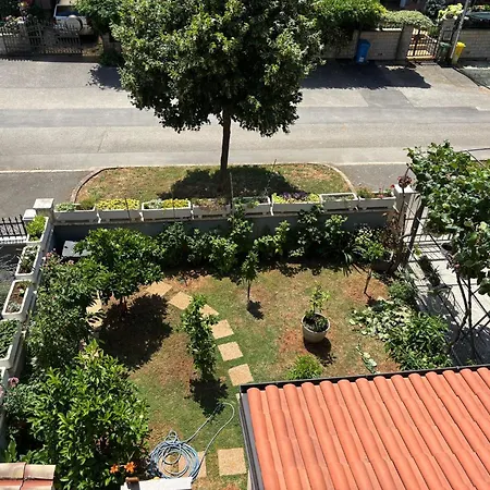 Novak Apartamento *