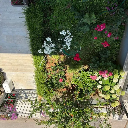 Novak Rovinj